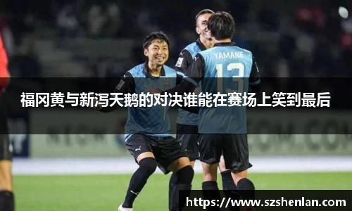 bwin必赢在线登录入口