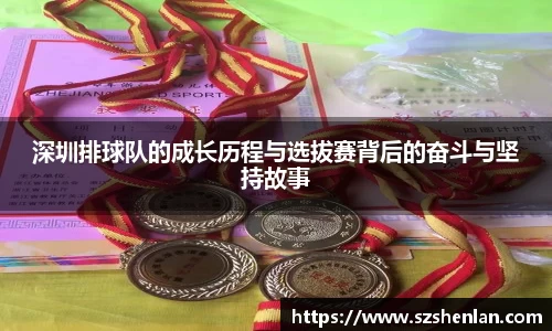 bwin必赢官网入口