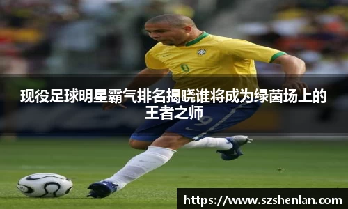 现役足球明星霸气排名揭晓谁将成为绿茵场上的王者之师